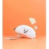 Line Friends BT21 - RJ pieštukų dėklas