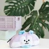 BT21 – INSIDE MANG pliušinis penalas rašymo priemonėms