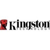 „Kingston IronKey Vault Privacy 50C“ 16 GB USB-C, 256 bitų, AES šifruotas