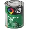 Pentacolor DAŽAI AQUAMEL JUODIE, 0,7 KG MATINIS