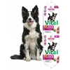 Perrito GDD GOLD DOG Vital antiena antis – drėgnas ėdalas šunims – 900g