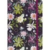 Peter Pauper Press Notebook mini Dangaus sodas