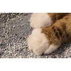 Petlibro Luma Litter Box Mat (Juodas)