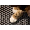 Petlibro Luma Litter Box Mat