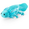 Zuru Pets Alive Gyvi gyvūnai – „Swimming Axolotl“ (9556UQ1)