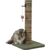 ZOLUX draskyklė katei słupek BOREAL M 60 cm žalia