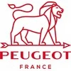 PEUGEOT APPOLIA stačiakampis indas 32 cm grafito spalvos