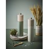 Peugeot Pepper grinder, 21 cm, fern žalias, Boreal