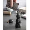 Peugeot Spice funnel, BBQ