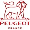 Peugeot PARIS GRAPHITE druskos malūnas 30 cm