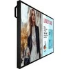 Monitorius System interaktywny Philips 6000 series 50BDL6017P Płaski panel Digital Signage 125,7 cm (49.5") LCD 800 cd/m² 4K Ultra HD Juodas Procesor įmontuotas Android 14 24/7