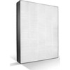 Philips auksiniai filtrai FY2422/30