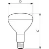 Philips infraraudonųjų spindulių lempa BR125 IR 375W E27 230-250V CL