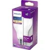 LED lemputė PHILIPS, A67, E27, 17,5 W, 2500 lm, 2700 K