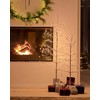 Philips Sirius Home Kira, Šviesos dekoratyvinė figūrėlė, Ruda, 96 lemputės, LED, 1,35 W, 900 mm