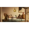 Philips Smart E27 A60 4,3 W (60 W), WW-CW