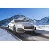 Philips Lempučių komplektas 2vnt. 55W 12V P14,5s H1 WhiteVisionUltra