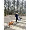 Piapimo PIAPIMO-ROMA-DAUGIAFUNKCINIS KREPŠELIS GIMDIMUI
