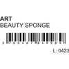 Pierre Rene Art Beauty Sponge