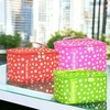 Pilot Pen Style Thermal Lunch Bag Stars Lunch Bag assorted, red/žalias/mėlynas/pink