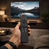 Pilot RTV Montis universalus Smart TV LG MONTIS (MT214)