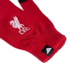 Pirštinės adidas Liverpool FC JZ5880