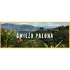 „Pixel Coffee Roasters“ kavos pupelės PIXEL Dark Matter Espresso Kolumbija Valparaiso Washed 250 g