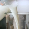 Taurus OPTIMA GO 1500 jug plakiklis