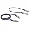 Planet SFP+ Directly-Attached Copper Cable InfiniBand 2m Juodas (CB-DASFP-2M)