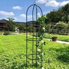 Planta Gotel Koloninė sodo pergolė gėlėms