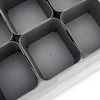 Plastikinė dėžė su dangčiu ir skyreliais Pro Box Plast Team 8L permatoma