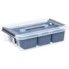 Plastikinė dėžė su dangčiu ir skyreliais Pro Box Plast Team 8L permatoma