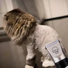Plaukų kirpimo mašinėlė šunims ir katėms Extralink Pets, belaidė su 4 antgaliais, šukomis, žirklėmis, dildėmis