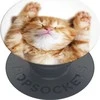 Popsockets PopGrip Basic Snoozy Cat