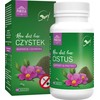 Pokusa TEMPTATION Cistus 120 tablečių