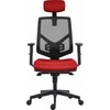 Powerton biuro kėdė Powerton Ergonomic biuro kėdė Tina