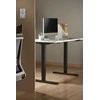Powerton Desk rėmas/pagrindas, elektra reguliuojamas, tarpų reguliavimas 500mm, apsaugos nuo susidūrimo sistema, juoda, keliamoji galia 100 kg, Powerton
