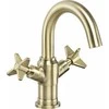 Praustuvo maišytuvas Deante Temisto BQT_M20D, Brass