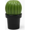 Prieskonių malūnėlis Qualy Młynek do soli lub pieprzu Tasty Cactus juoda-žalia 10252-BK-GN