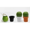 Prieskonių malūnėlis Qualy Młynek do soli lub pieprzu Tasty Cactus juoda-žalia 10252-BK-GN