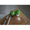 Prieskonių malūnėlis Qualy Młynek do soli lub pieprzu Tasty Cactus juoda-žalia 10252-BK-GN