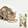 SKANĖS KATĖMS PRIMACAT ANTI-HARIBALL 40G