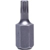 Koncówki 3/8" (10 mm) antgaliai, torx, t40, ilgis 30 mm, 2 vnt., s2, proline