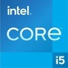 Procesorius Intel S1700 CORE i5 12400F TRAY 6x2,5 65W GEN12