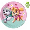 PROCOS Popierinės lėkštutės Psi Patrol Skye & Everest, 23 cm, 8 vnt. (be plastiko)