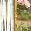 ProGarden bambuko lazdos augalams 60 cm, 10 vnt