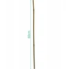 ProGarden bambuko lazdos augalams 60 cm, 10 vnt