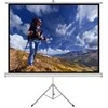 ART ER T100 4:3 ART rankinis Ekranas su stovu 4:3 100 203x152cm TS-100 4:3