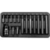Zestaw Rinkinys Antgalių rinkinys 10 mm, torx antgaliai, T20-T55, ilgis 30/75 mm, 15 vnt. proline