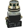 Promet Valdymo mygtukas 30mm žalias su apšvietimu 2Z 24V (W0-NEE30-KL 2X Z)
